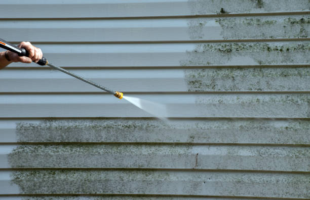 Best Local Mold Removal Service  in Pascoag, RI