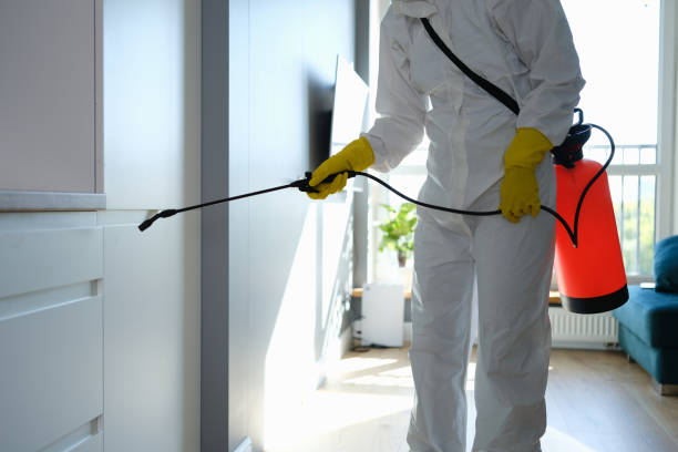 Best Mold Removal Company Near Me  in Pascoag, RI